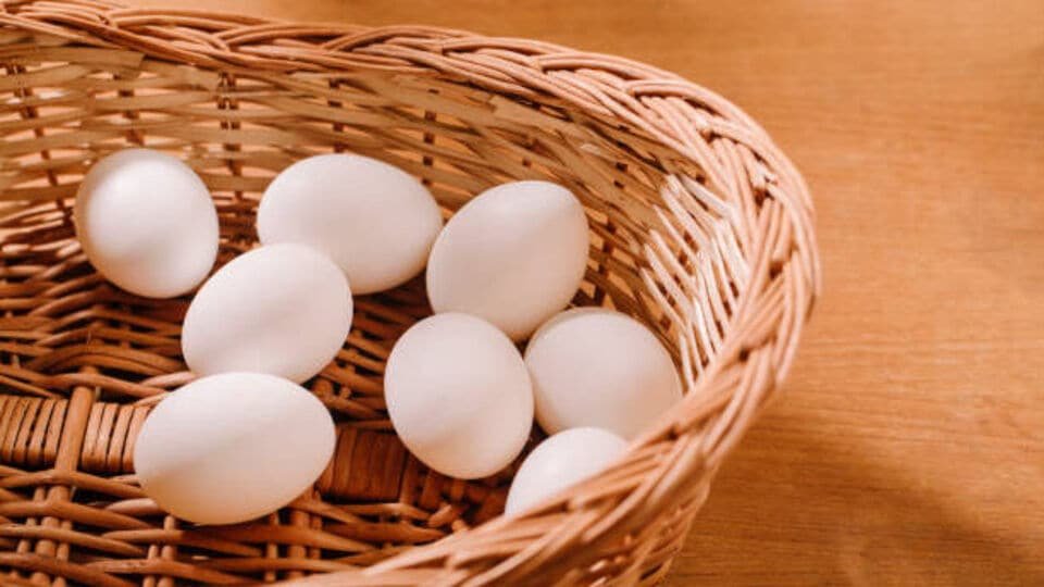 Egg Price In US : ఓ మై గాడ్.. అమెరికాలో 12 గుడ్లకు 600 రూపాయలపైనే..!
