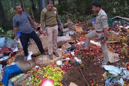 Road Accidents : కర్ణాటకలో మృతుల్లో రోడ్డు ప్రమాదాల్లో 13 మంది దుర్మరణం.. ఏపీకి చెందిన నలుగురు-karnataka yellapur accident vegitable truck overturns near gallapur 9 people killed and death toll may rise ,జాతీయ