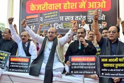 ఎన్నికలకు ముందు AAP కోసం ఉపశమనం, సెంట్రల్ ఆడిట్‌లపై బిజెపి పిటిషన్‌ను కోర్టు తిరస్కరిస్తుంది