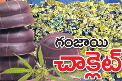 సికింద్రాబాద్ లో 24 కిలోల గంజాయి చాక్లెట్లు స్వాధీనం స్వాధీనం