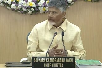 IAS పై cbn: ఫైల్స్‌ ఫైల్స్‌ క్లియర్‌ చేయడానికి నుంచి ఏడాది సమయం సమయం .. ఐఏఎస్‌ అధికారుల తీరుపై చంద్రబాబు చురకలు చంద్రబాబు