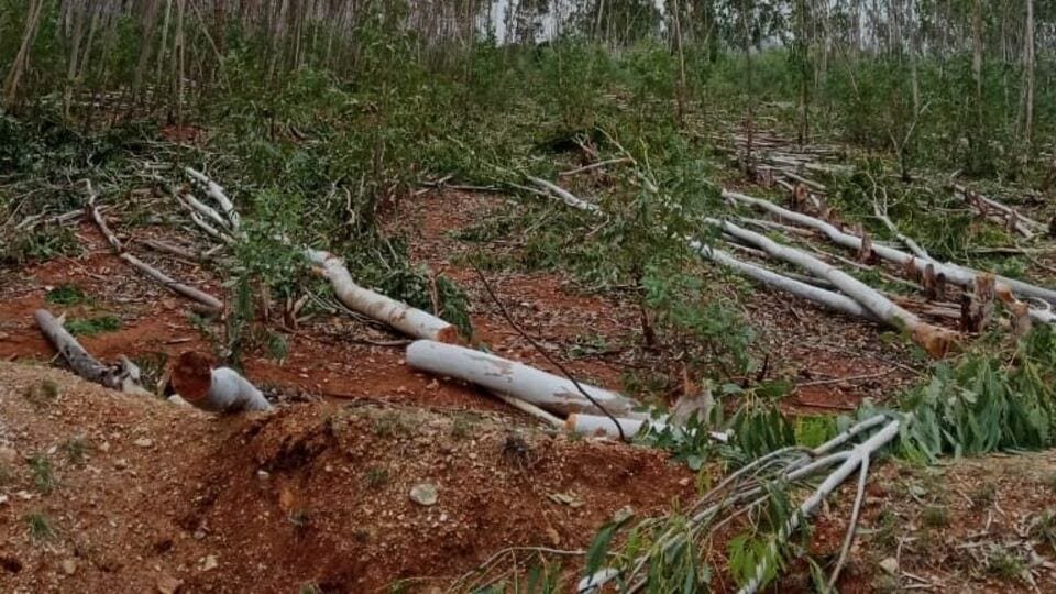 ‍యథేచ్ఛగా అగ్రిగోల్డ్‌ ఆస్తుల ఆస్తుల దోపిడీ దోపిడీ, చోద్యం చోద్యం చోద్యం పోలీసులు పోలీసులు, రూ .3500 కోట్ల విలువైన కలప కలప అన్యాక్రాంతం- ఈ రోజు ఆంధ్రప్రదేశ్ న్యూస్ తాజా నవీకరణలు ఫిబ్రవరి 27 2025, ఆంధ్ర ప్రదేశ్ న్యూస్ న్యూస్