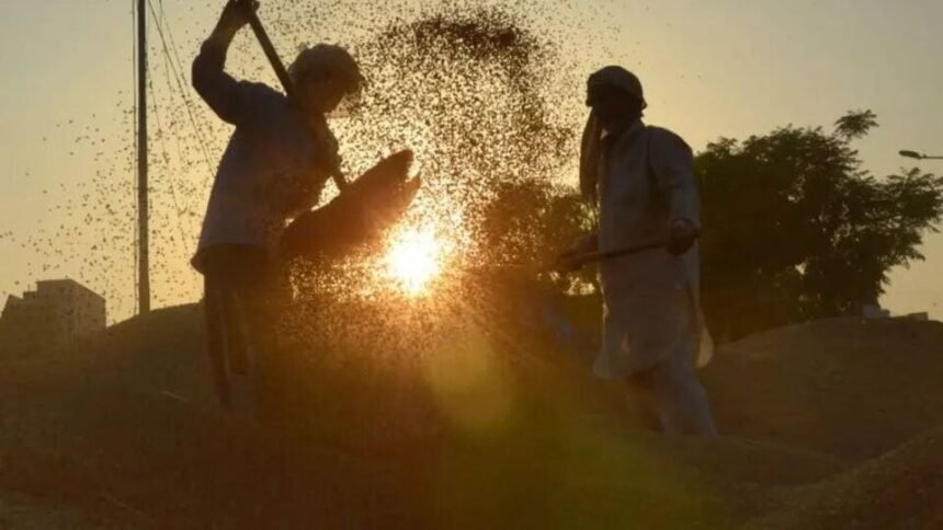 ఆంధ్రప్రదేశ్ న్యూస్ లైవ్ ఫిబ్రవరి 2, 2025: AP TG ఉష్ణోగ్రతలు: తెలుగు రాష్ట్రాల్లో పెరుగుతున్న పగటి ఉష్ణోగ్రతలు ఉష్ణోగ్రతలు