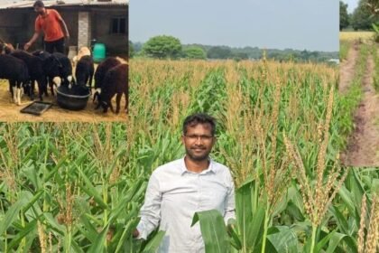 ఆదర్శ రైతుకు రైతుకు పురస్కారం పురస్కారం పురస్కారం, మల్లిఖార్జున్ మల్లిఖార్జున్ ఈనెల 22 న న ప్రదానం ...- కరీంనగర్ మోడల్ రైతు మల్లికార్జున్ రెడ్డికి అవార్డు, తెలంగాణ తెలంగాణ తెలంగాణ