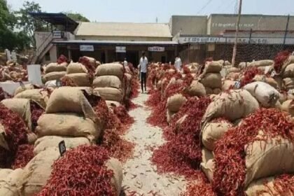 ఏపీ మిర్చి రైతులకు)