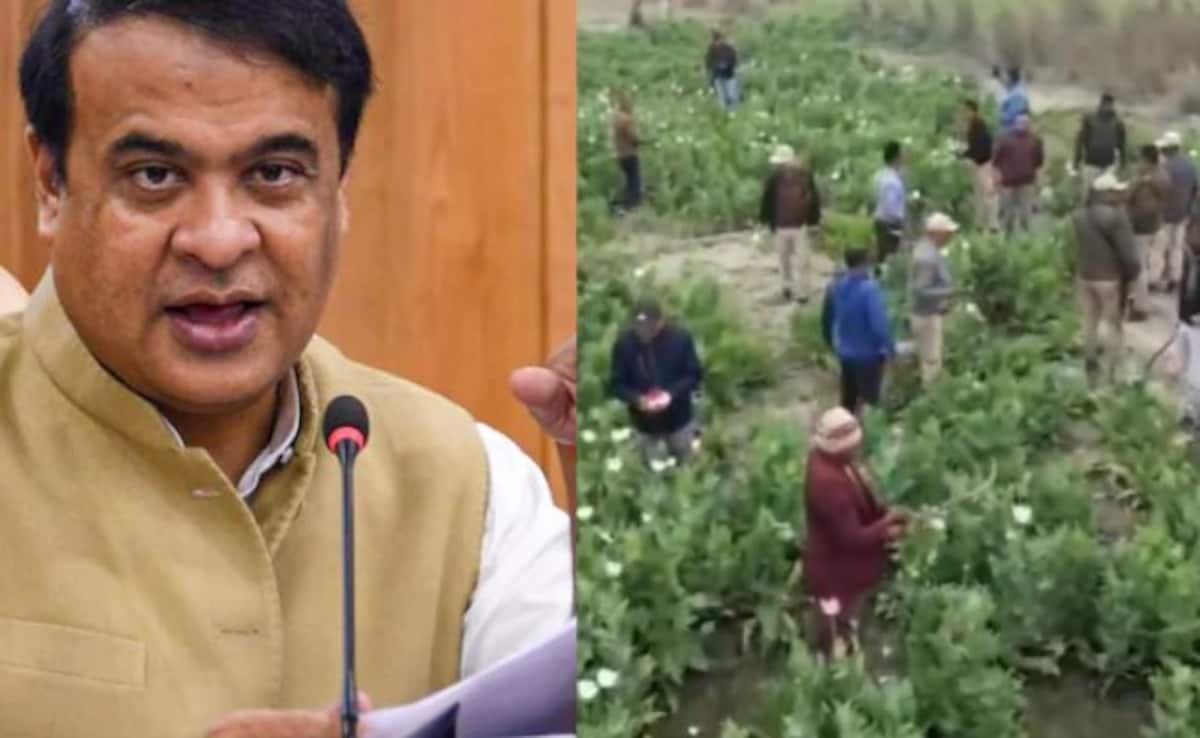 గసగసాల పొలాలు నాశనం కావడంతో హిమాంటా శర్మ