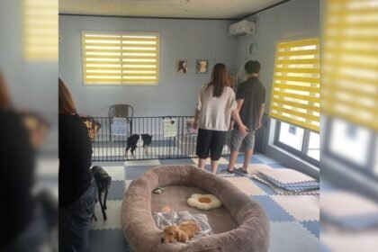 జపాన్ జూ వేధింపుల ఫిర్యాదుల తరువాత సోలో మగ సందర్శకులను నిషేధిస్తుంది