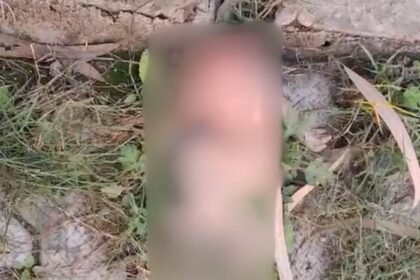 నవజాత శిశువు ఆసుపత్రి ద్వారా చనిపోయినట్లు ప్రకటించింది, తరువాత కుక్కలు అతని తల తింటాయి