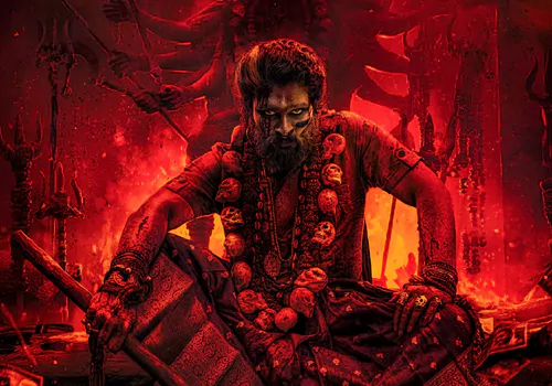 నేషనల్ కాదు ఇంటర్నేషనల్ .. పుష్పరాజ్ పుష్పరాజ్ రప్పకి వెస్ట్రన్ ఆడియన్స్ ఫిదా!