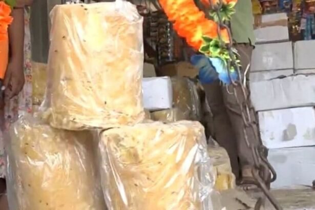 మెదరం జతారా: మేడారం మేడారం వన .. బెల్లంను బెల్లంను బంగారంగా ఎందుకు సమర్పిస్తారు?