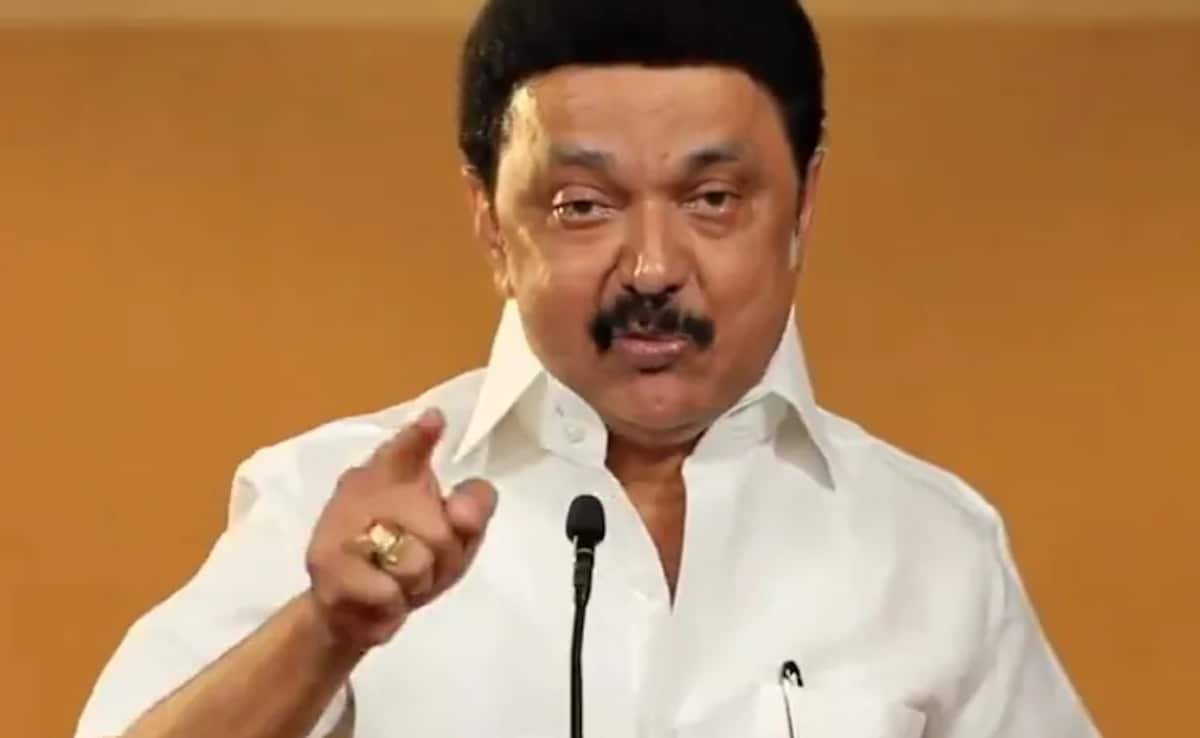 "హిందీ 25 నార్త్ ఇండియన్ లాంగ్వేజెస్ నాశనం చేసింది": MK స్టాలిన్ టార్గెట్స్ సెంటర్