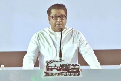 U రంగజేబ్ సమాధి వరుసలో రాజ్ థాకరే