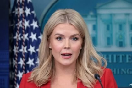 'భారతదేశం అమెరికన్ ఆల్కహాల్ పై 150% సుంకం వసూలు చేస్తుంది, సహాయం చేయలేదు': వైట్ హౌస్