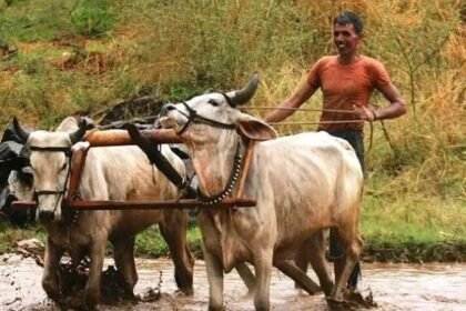 AP రైతులు: రైతుల‌కు 50 శాతం రాయితీతో వ్య‌వ‌సాయ‌ వ్య‌వ‌సాయ‌ యంత్రాలు .. ద‌ర‌ఖాస్తు విధానం విధానం ద‌ర‌ఖాస్తు ద‌ర‌ఖాస్తు