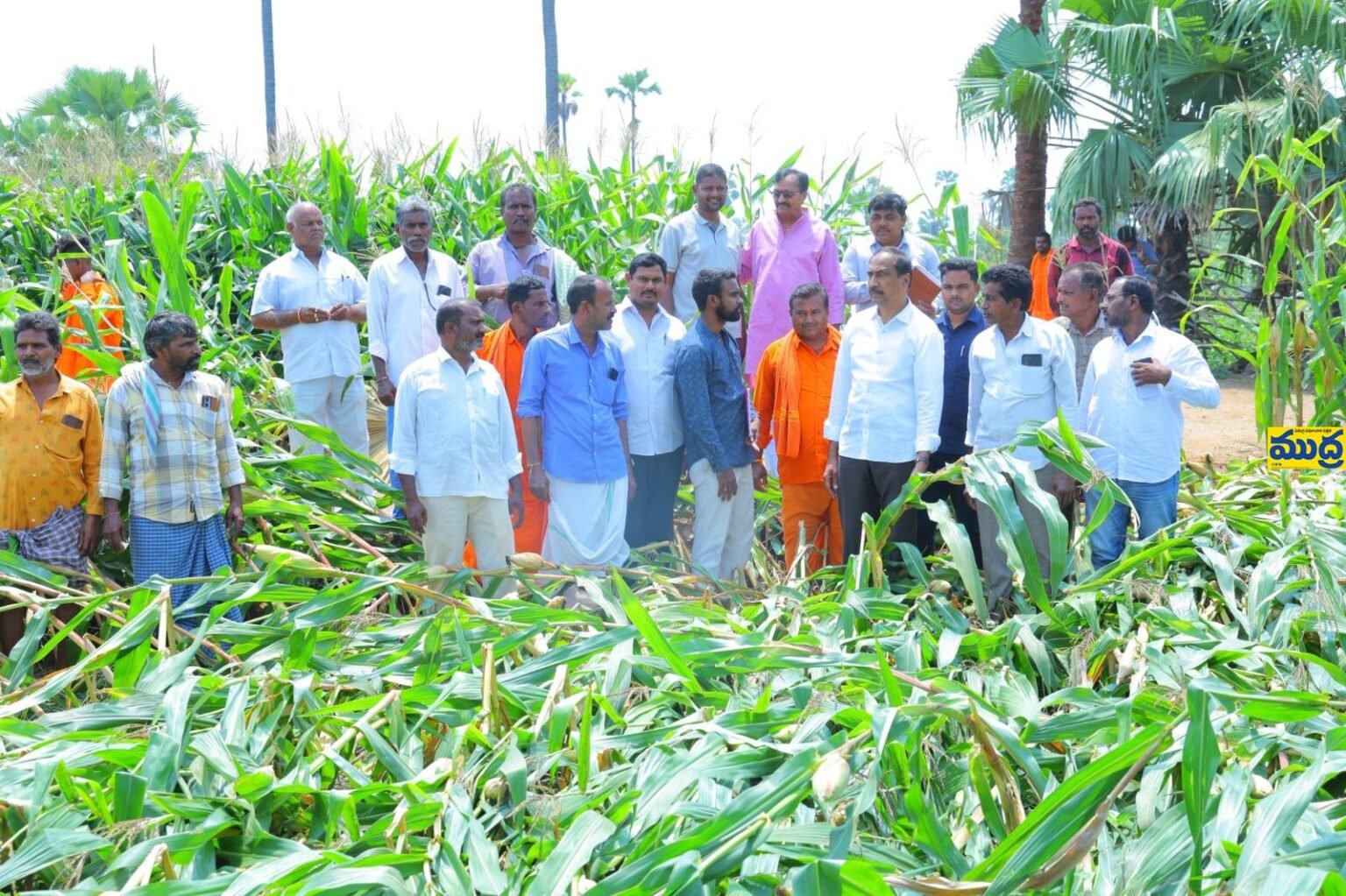 అకాల అకాల, వడగండ్లకు వడగండ్లకు దెబ్బతినడం చాలా దుర దృష్ట కరం కరం