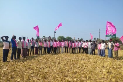 అన్నారం గ్రామం గ్రామం లో ఎండిన పంటలను పరిశీలిస్తున్న బిఆర్ఎస్ నాయకులు నాయకులు