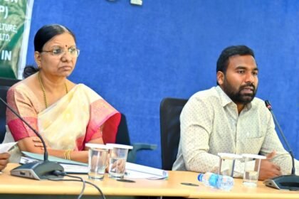 ఆయిల్ పామ్ సాగు పెంపుకు ముందస్తు ప్రణాళికలు సిద్ధం సిద్ధం చేసుకోవాలి