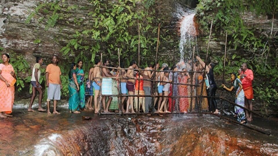 కుమరాధర శీర్తా ముక్కోటి: మార్చి 14 న తిరుమల కుమారధార తీర్థ ముక్కోటి-వీరికి అనుమతి లేదు అనుమతి అనుమతి