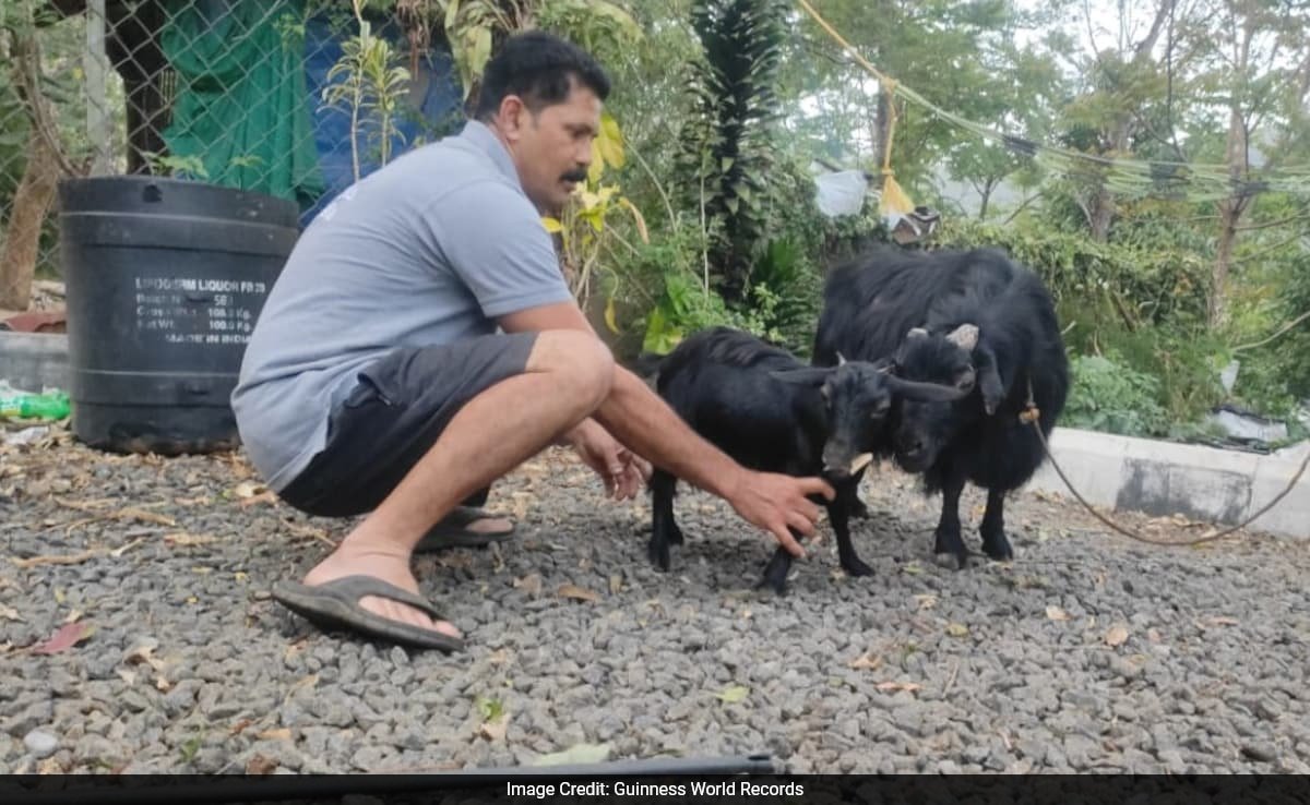కేరళ రైతు యొక్క చిన్న మేక, కరుంబి, గిన్నిస్ రికార్డును ప్రపంచంలోనే అతి తక్కువ అని పేర్కొంది ...