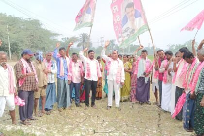 గోదావరి జలాలు రాకనే రైతుల పంటలు ఎండిపోయాయి