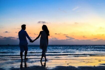 చైనీస్ కాన్ ఉమెన్ 36 మంది పురుషులను రొమాన్స్ స్కామ్‌లో ఆస్తి ఉచ్చులో మోసం చేస్తుంది