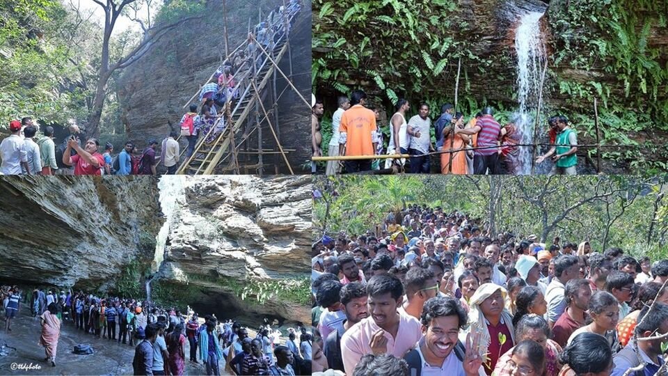 తిరుమాలా: తిరుమలలో ఘనంగా ఘనంగా 'కుమారధార తీర్థ ముక్కోటి'