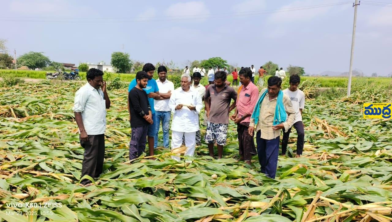 పంటల నష్టాన్ని సీఎం దృష్టికి తీసుకెళ్తా తీసుకెళ్తా: పట్టభద్రుల ఎమ్మెల్సీ జీవన్ రెడ్డి రెడ్డి
