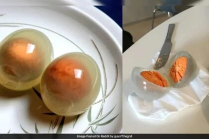 పెంగ్విన్ గుడ్లు ఉడికించినప్పుడు పారదర్శకంగా మారుతాయా? సైన్స్ ఏమి చెబుతుంది