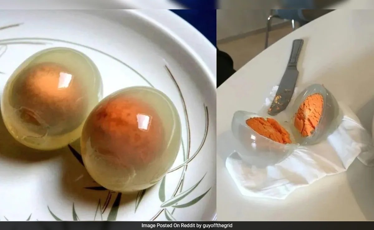 పెంగ్విన్ గుడ్లు ఉడికించినప్పుడు పారదర్శకంగా మారుతాయా? సైన్స్ ఏమి చెబుతుంది