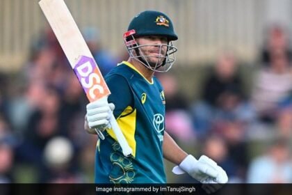 "ఫ్లైట్ కోసం పైలట్లు లేదు": డేవిడ్ వార్నర్ ఎయిర్ ఇండియాను పేల్చివేసిన తరువాత స్టార్ 'గంటలు వేచి ఉండండి'