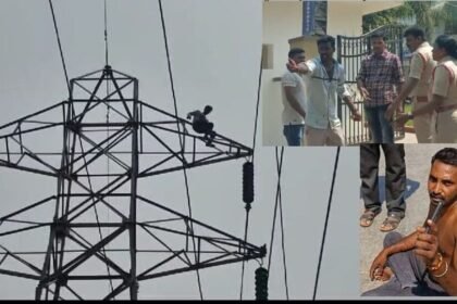 భార్య బాధితులు హల్…