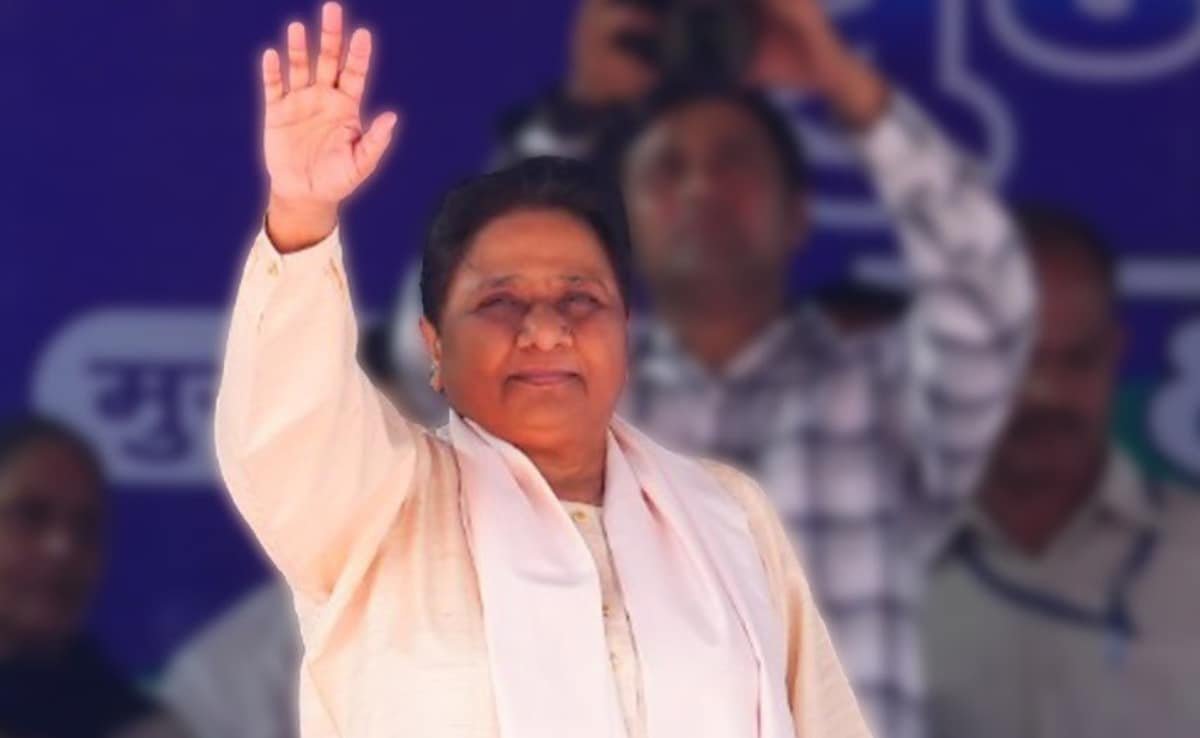 మాయావతి సోదరుడు ఆనంద్ కుమార్‌ను BSP యొక్క జాతీయ సమన్వయకర్తగా నియమిస్తాడు
