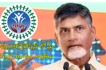 సబ్సిడీపై కాపు కార్పొరేషన్ లోన్లు- దరఖాస్తు దరఖాస్తు విధానం, అర్హతలు, అర్హతలు, పూర్తి- ap కపు కార్పొరేషన్ రుణాలు సబ్సిడీ వివరాలు అప్లికేషన్ ప్రాసెస్ మరియు అర్హత, ఆంధ్ర ప్రదేశ్ న్యూస్ న్యూస్