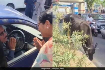 Delhi ిల్లీ ముఖ్యమంత్రి మనిషి బిజీగా ఉన్న రహదారిపై ఆవుకు "రోటీ" ను తినిపించడాన్ని చూస్తారు. ఇది చేస్తుంది