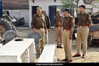 అప్ మనిషి కాబోయే తల్లితో పారిపోతాడు