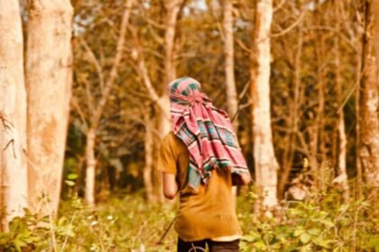 అల్లూరి జిల్లా ఏజెన్సీలో అలజడి అలజడి .. తృటిలో తప్పించుకున్న 15 మంది మావోయిస్టులు!