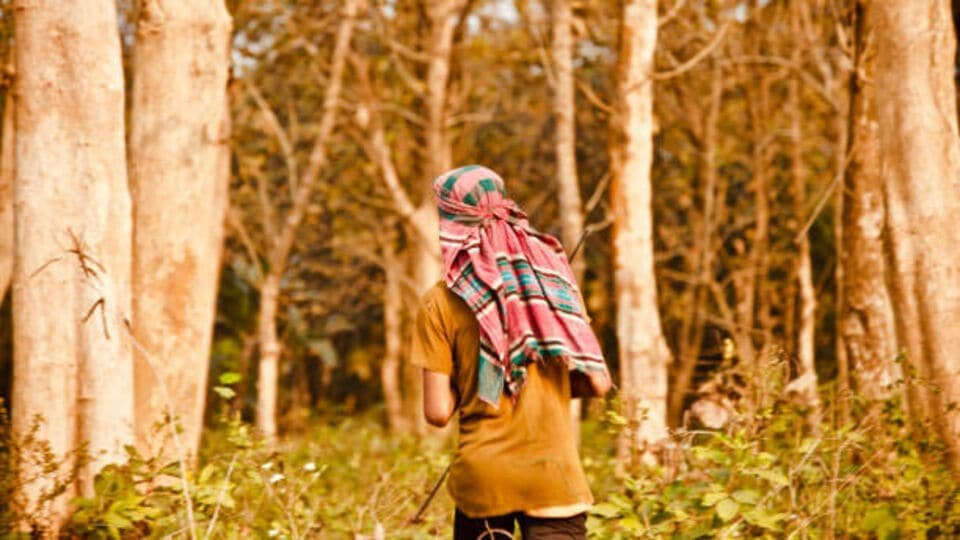 అల్లూరి జిల్లా ఏజెన్సీలో అలజడి అలజడి .. తృటిలో తప్పించుకున్న 15 మంది మావోయిస్టులు!