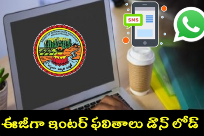 ఏపీ ఇంటర్ ఫలితాలు డౌన్లోడ్- ఆన్ ఆన్, వాట్సాప్, వాట్సాప్, ఎస్ఎంఎస్ విధానాలివే- AP ఇంటర్ ఫలితాలను ఎలా తనిఖీ చేయాలి 2025 AP ఆన్‌లైన్ ప్రాసెస్ వాట్సాప్ గవర్నెన్స్ SMS, ఆంధ్ర.