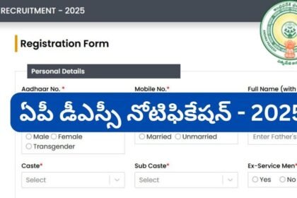 ఏపీ డీఎస్సీ దరఖాస్తు దరఖాస్తు ప్రక్రియలో ..? ఈ నెంబర్లను