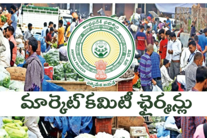 ఏపీలో నామినేటెడ్ పదవుల జాతర- 30 మార్కెట్ కమిటీలకు ఛైర్మన్లు ​​నియామకం నియామకం, లిస్ట్ లిస్ట్ లిస్ట్ లిస్ట్