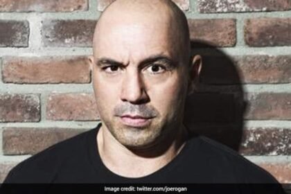 జో రోగన్ 'ది వ్యూ' సహ-హోస్ట్‌ను డ్రాగన్స్‌ను నమ్ముతున్నాడని ఆరోపించారు