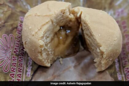 బెంగాల్ యొక్క 'నోలెన్ గ్యూరర్ సాండేష్', 6 ఇతర అంశాలు భౌగోళిక సూచిక (జిఐ) ట్యాగ్ పొందుతాయి