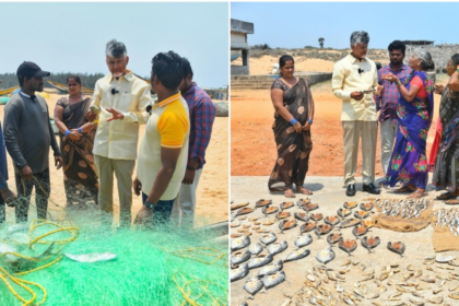 మత్స్యకారుల ఖాతాల్లో రూ .20 వేలు జమ, మరో పథకానికి సీఎం చంద్రబాబు శ్రీకారం శ్రీకారం