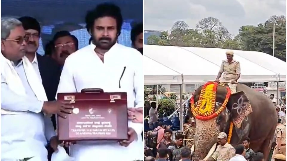 ఏపీకి ఆరు కుంకీ కుంకీ ఏనుగులు కర్ణాటక ప్రభుత్వం ప్రభుత్వం, పవన్ కల్యాణ్ సమక్షంలో అందజేత అందజేత