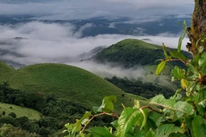 ఖచ్చితమైన వేసవి సెలవుల కోసం కూర్గ్‌లో చేయవలసిన 5 మంచి విషయాలు