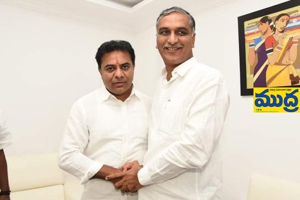 గులాబీలో రాజకీయ రాజకీయ - ముద్రా న్యూస్