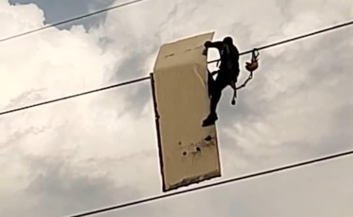 నోయిడాలో హై-టెన్షన్ వైర్‌పై చిక్కుకున్న సైన్బోర్డ్‌ను మనిషి తీసివేస్తాడు