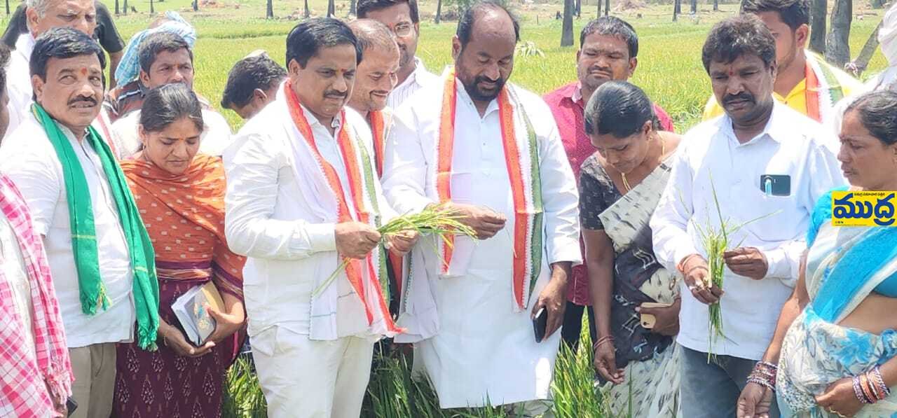 పంట నష్టపోయిన రైతులను రైతులను - ముద్రా న్యూస్
