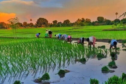 మే నెలలోనే రాష్ట్రానికి రాష్ట్రానికి నైరుతి పలకరింపు - సీఎం సీఎం సీఎం సీఎం