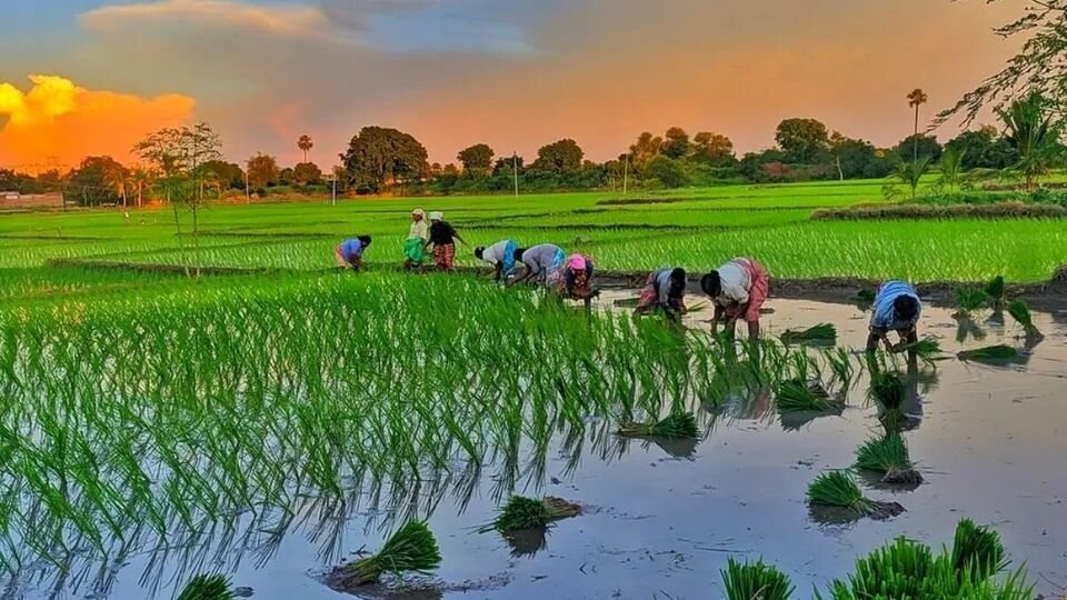 మే నెలలోనే రాష్ట్రానికి రాష్ట్రానికి నైరుతి పలకరింపు - సీఎం సీఎం సీఎం సీఎం